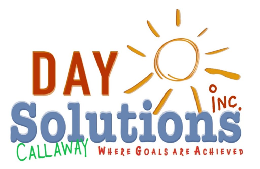 Day Solutions - Logo